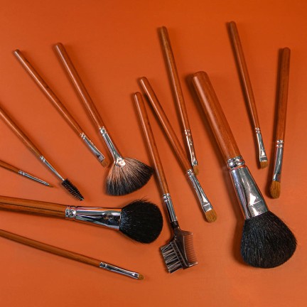 Professional 12-piece makeup brush set